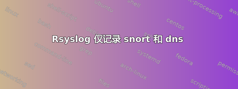 Rsyslog 仅记录 snort 和 dns