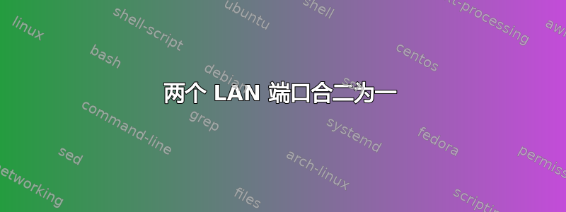 两个 LAN 端口合二为一