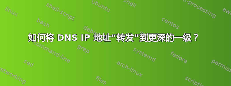 如何将 DNS IP 地址“转发”到更深的一级？