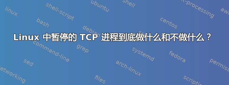 Linux 中暂停的 TCP 进程到底做什么和不做什么？