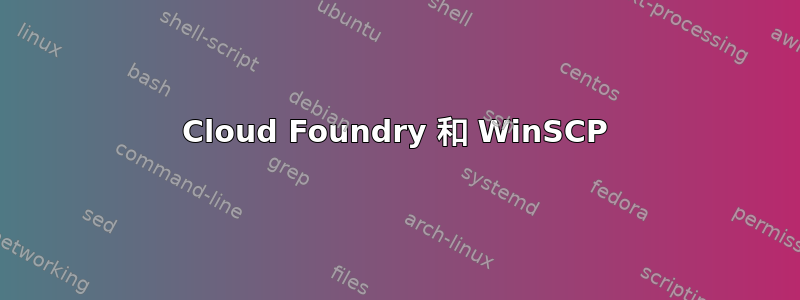 Cloud Foundry 和 WinSCP