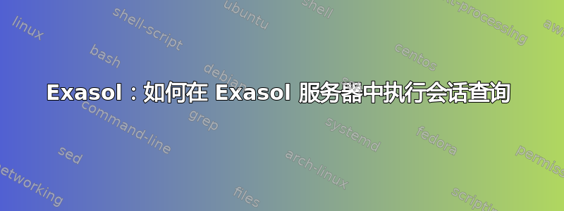 Exasol：如何在 Exasol 服务器中执行会话查询