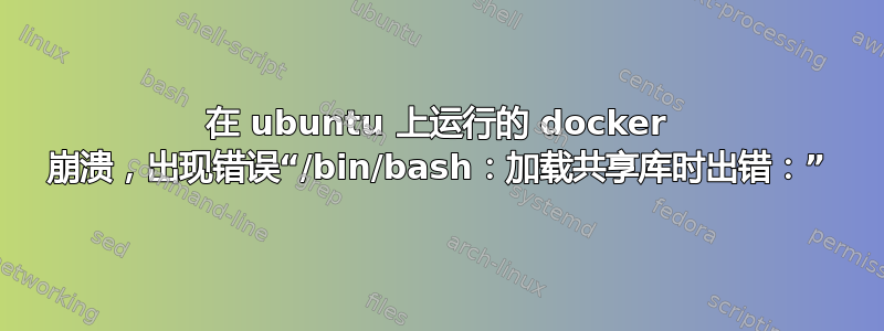 在 ubuntu 上运行的 docker 崩溃，出现错误“/bin/bash：加载共享库时出错：”