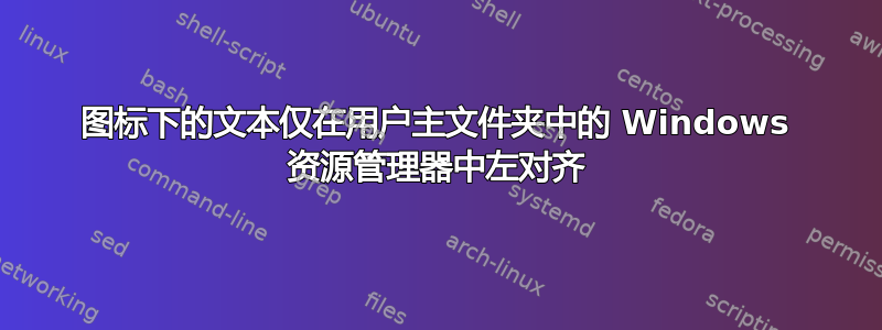 图标下的文本仅在用户主文件夹中的 Windows 资源管理器中左对齐