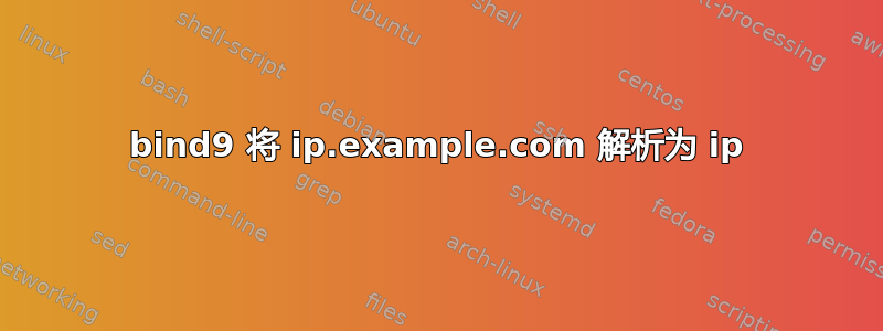 bind9 将 ip.example.com 解析为 ip