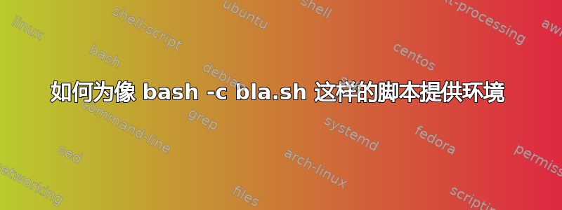 如何为像 bash -c bla.sh 这样的脚本提供环境