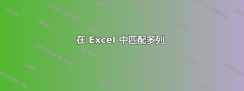 在 Excel 中匹配多列