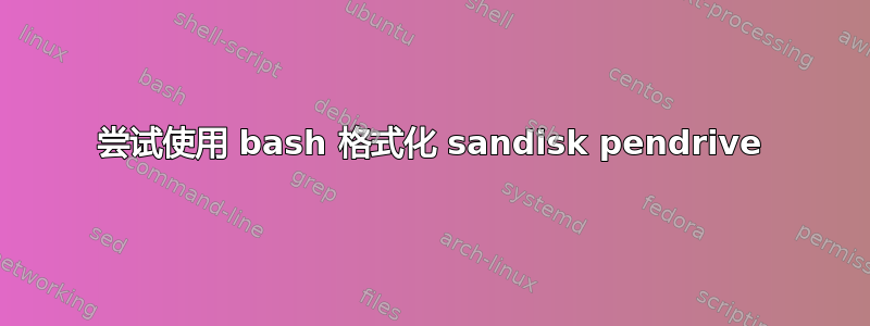 尝试使用 bash 格式化 sandisk pendrive