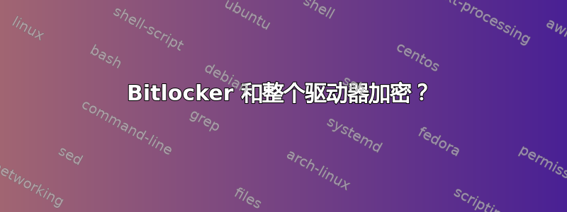 Bitlocker 和整个驱动器加密？