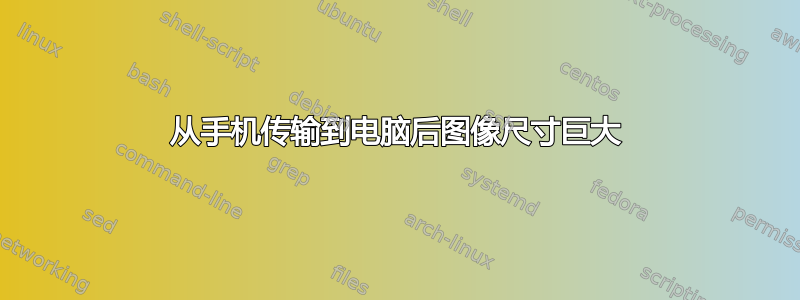 从手机传输到电脑后图像尺寸巨大