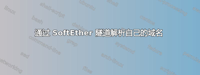 通过 SoftEther 隧道解析自己的域名