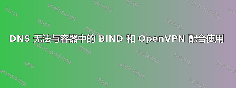 DNS 无法与容器中的 BIND 和 OpenVPN 配合使用