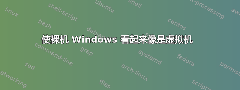 使裸机 Windows 看起来像是虚拟机 