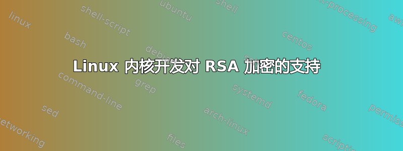 Linux 内核开发对 RSA 加密的支持 