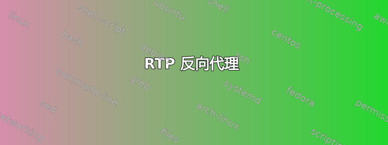 RTP 反向代理