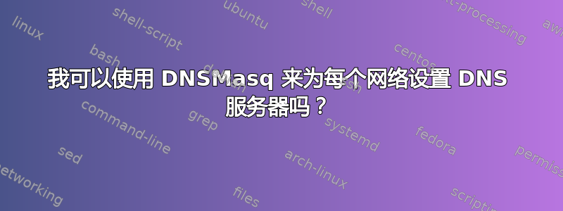 我可以使用 DNSMasq 来为每个网络设置 DNS 服务器吗？