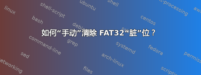 如何“手动”清除 FAT32“脏”位？