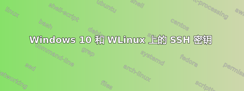 Windows 10 和 WLinux 上的 SSH 密钥