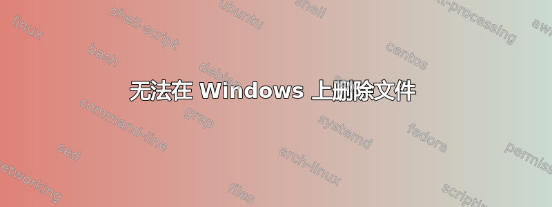 无法在 Windows 上删除文件