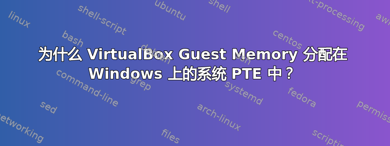 为什么 VirtualBox Guest Memory 分配在 Windows 上的系统 PTE 中？