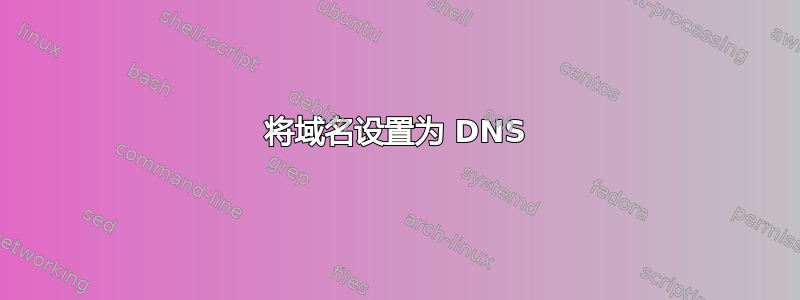 将域名设置为 DNS