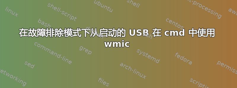 在故障排除模式下从启动的 USB 在 cmd 中使用 wmic