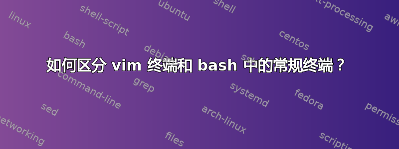 如何区分 vim 终端和 bash 中的常规终端？