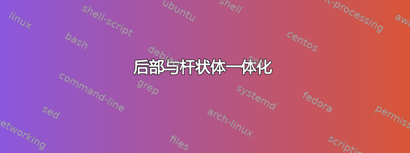 后部与杆状体一体化