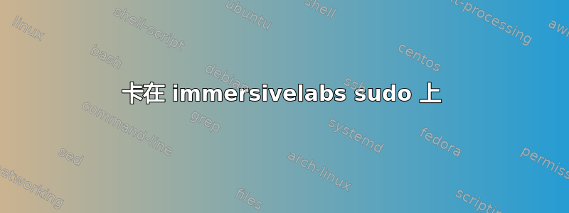 卡在 immersivelabs sudo 上