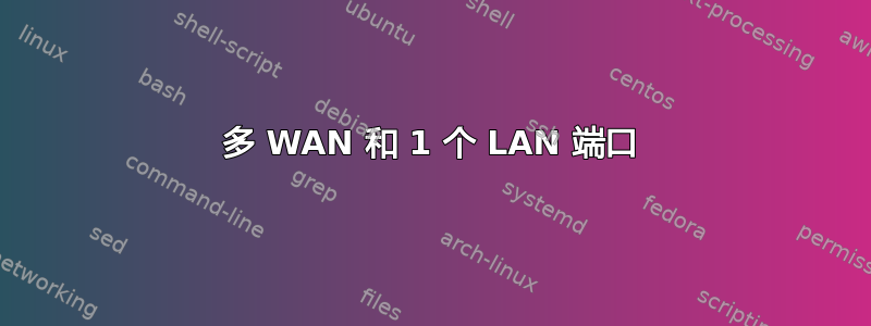 多 WAN 和 1 个 LAN 端口