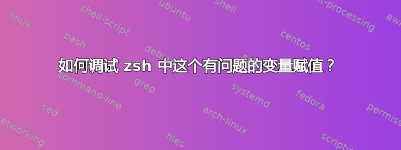 如何调试 zsh 中这个有问题的变量赋值？