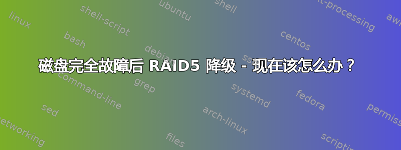 磁盘完全故障后 RAID5 降级 - 现在该怎么办？