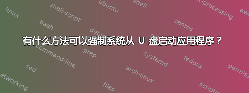 有什么方法可以强制系统从 U 盘启动应用程序？