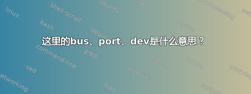 这里的bus、port、dev是什么意思？