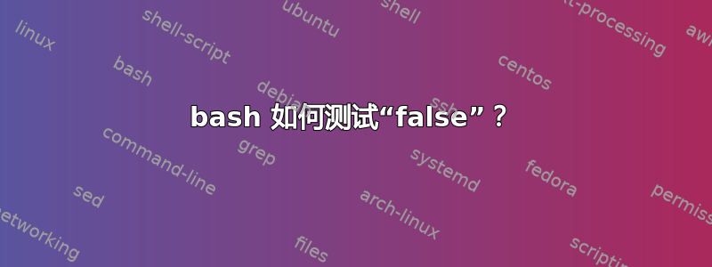 bash 如何测试“false”？