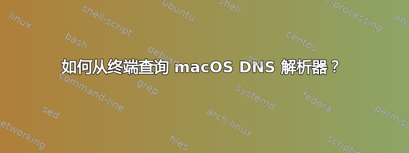 如何从终端查询 macOS DNS 解析器？