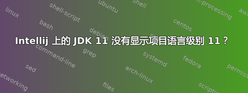 Intellij 上的 JDK 11 没有显示项目语言级别 11？