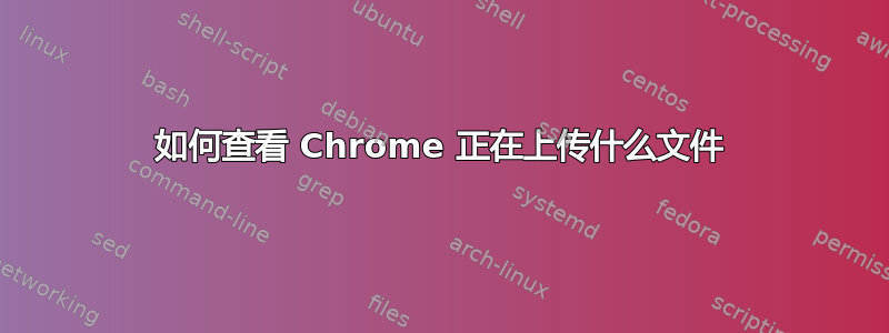 如何查看 Chrome 正在上传什么文件