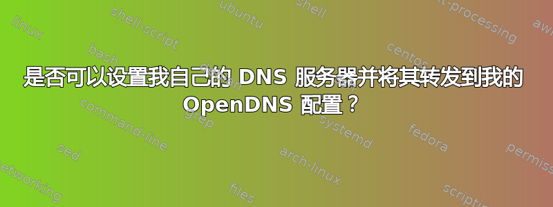 是否可以设置我自己的 DNS 服务器并将其转发到我的 OpenDNS 配置？