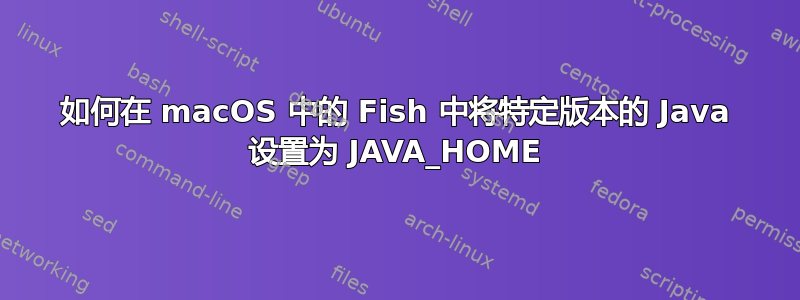 如何在 macOS 中的 Fish 中将特定版本的 Java 设置为 JAVA_HOME