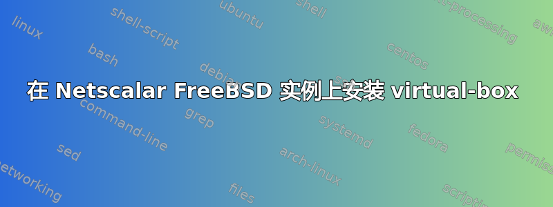 在 Netscalar FreeBSD 实例上安装 virtual-box