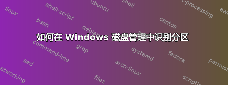 如何在 Windows 磁盘管理中识别分区