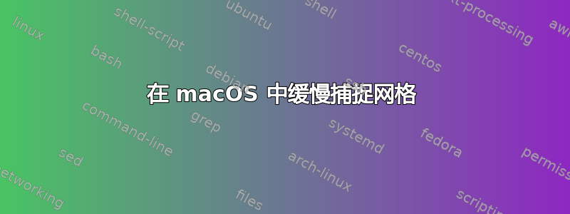 在 macOS 中缓慢捕捉网格