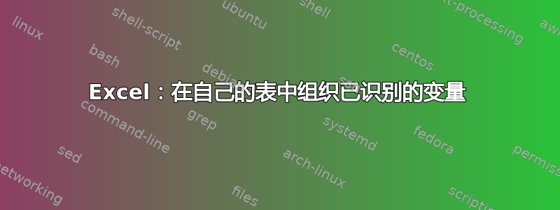 Excel：在自己的表中组织已识别的变量