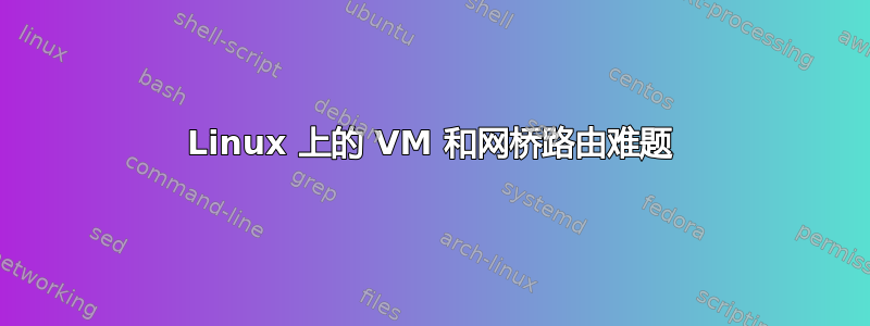 Linux 上的 VM 和网桥路由难题