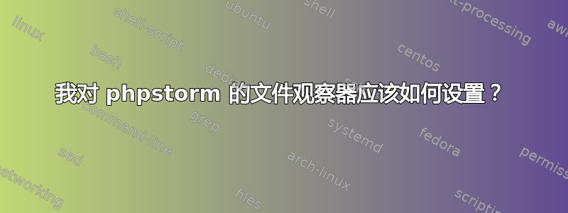 我对 phpstorm 的文件观察器应该如何设置？