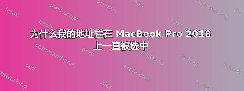 为什么我的地址栏在 MacBook Pro 2018 上一直被选中