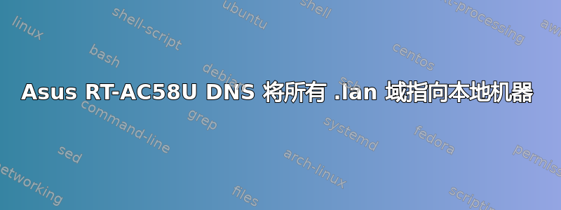 Asus RT-AC58U DNS 将所有 .lan 域指向本地机器