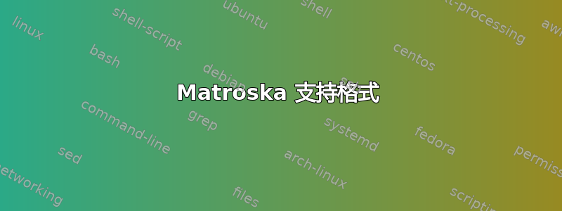 Matroska 支持格式