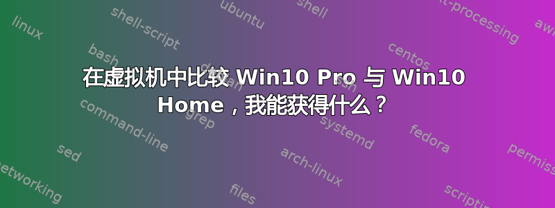 在虚拟机中比较 Win10 Pro 与 Win10 Home，我能获得什么？